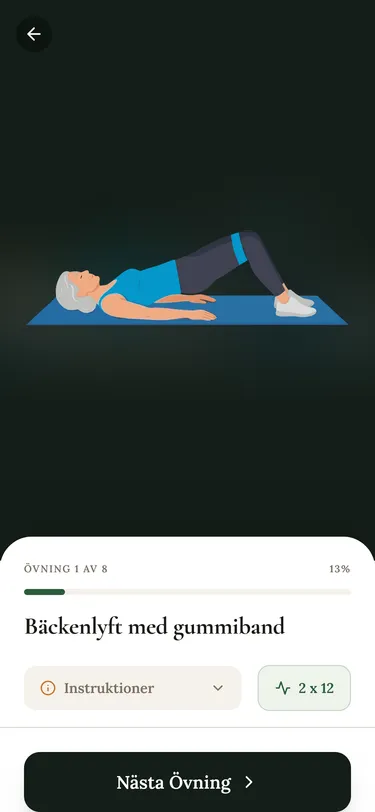 Ledhälsa – träningsprogram med animerade övningar